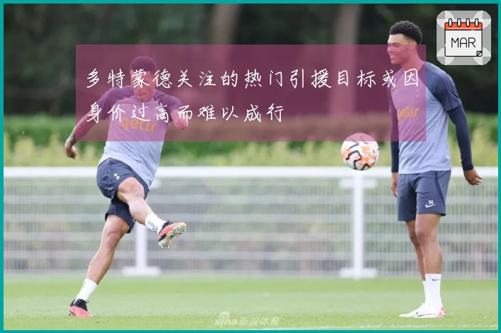 多特蒙德关注的热门引援目标或因身价过高而难以成行