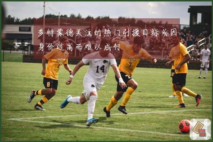 多特蒙德关注的热门引援目标或因身价过高而难以成行